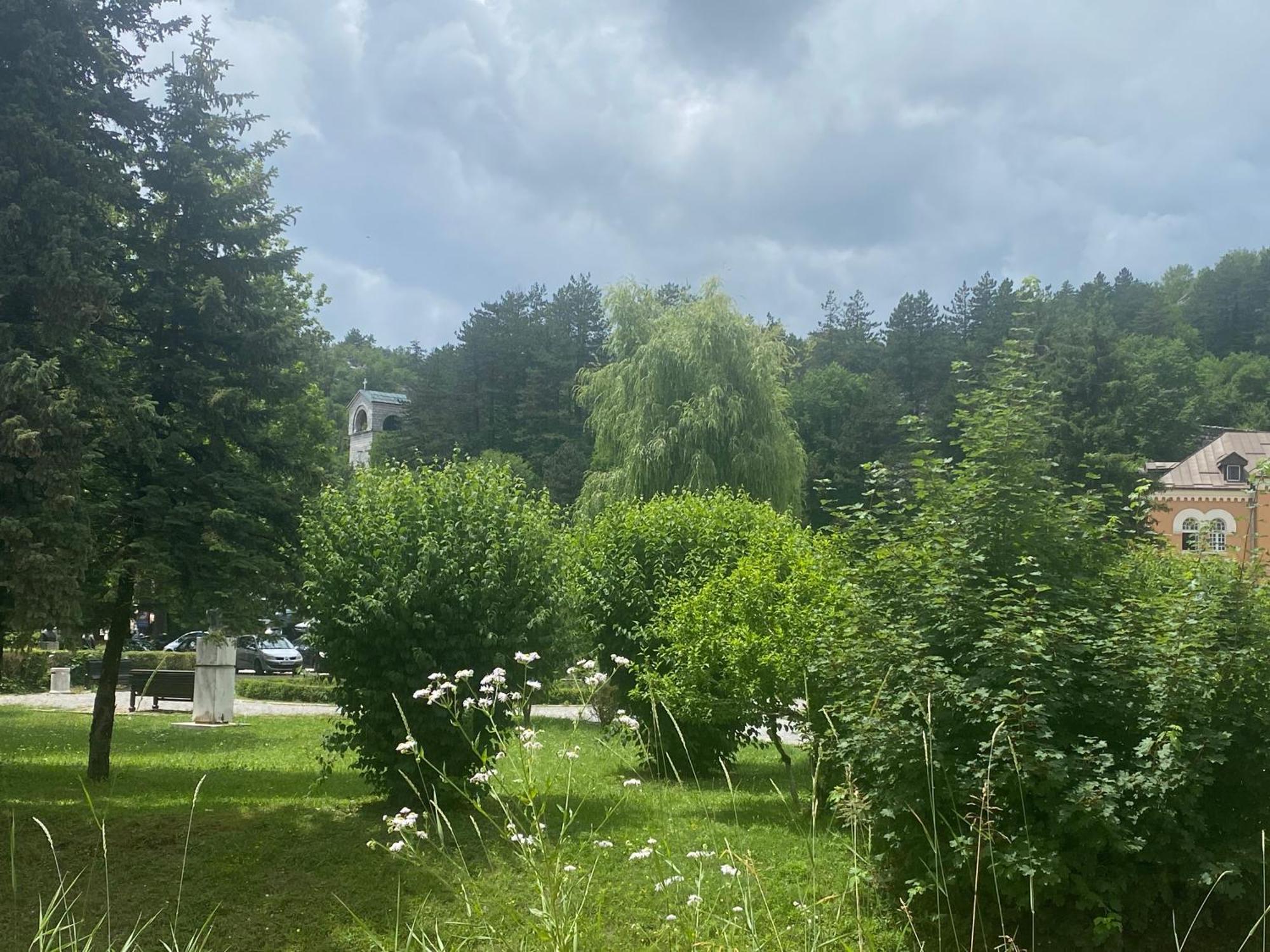 Apartments Bokan Cetynia Zewnętrze zdjęcie